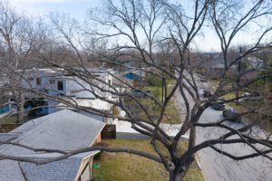 View from second floor of 1814 Ashby luxury custom home in Zilker neighborhood of Austin